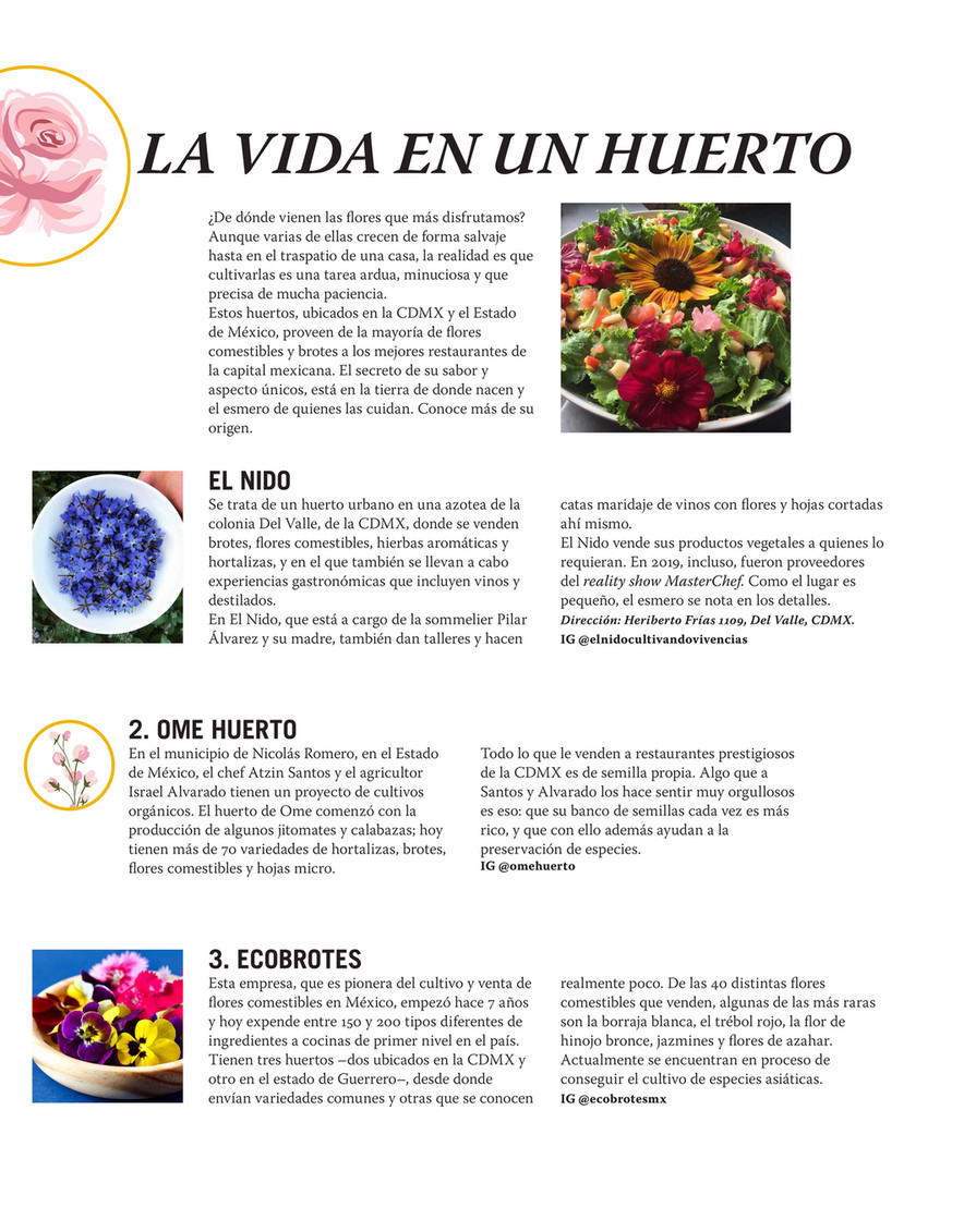 Grupo Medios - Gourmet de México junio 2022 - FLORES COMESTIBLES - Página  14-15